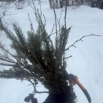 Kui tunned kutset, tuleb minna – Keisi teekond saunakooli